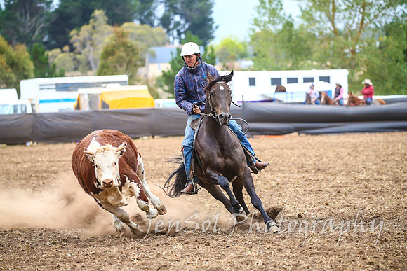 NimmitabelCampdraft2017_3602