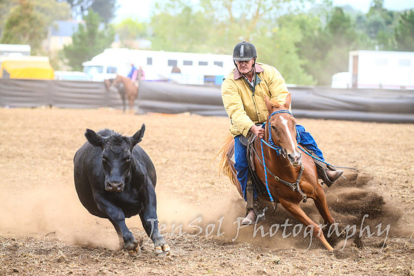 NimmitabelCampdraft2017_3519