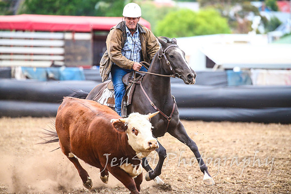 NimmitabelCampdraft2017_3654