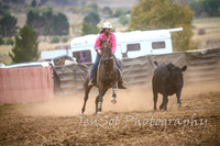 NimmitabelCampdraft2017_3389