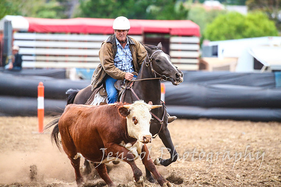 NimmitabelCampdraft2017_3652