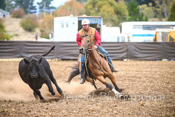 NimmitabelCampdraft2017_3573