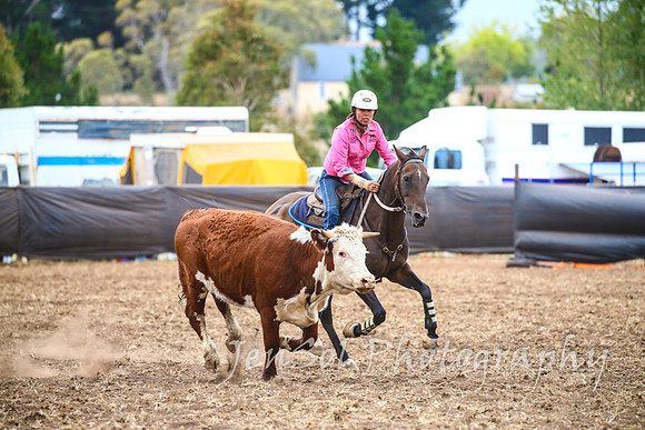 NimmitabelCampdraft2017_3639