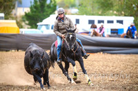 NimmitabelCampdraft2017_3415