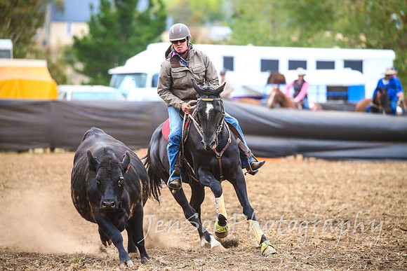 NimmitabelCampdraft2017_3415