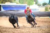 NimmitabelCampdraft2017_3467