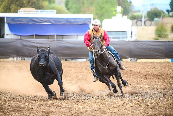 NimmitabelCampdraft2017_3467