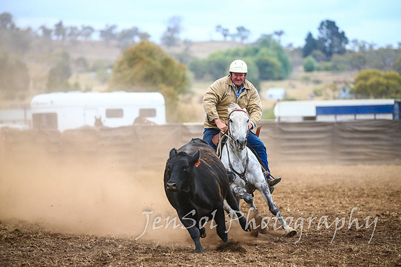 NimmitabelCampdraft2017_3472