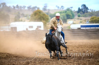 NimmitabelCampdraft2017_3473