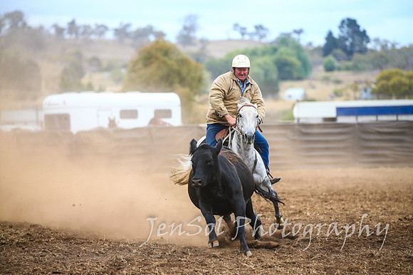 NimmitabelCampdraft2017_3473