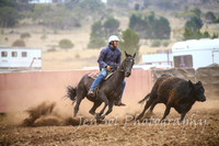 NimmitabelCampdraft2017_3379