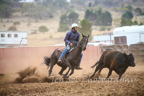 NimmitabelCampdraft2017_3379