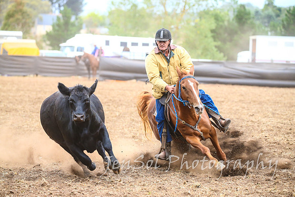 NimmitabelCampdraft2017_3522