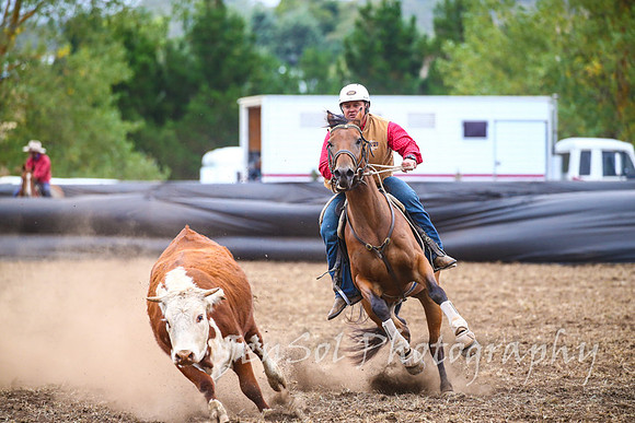 NimmitabelCampdraft2017_3615