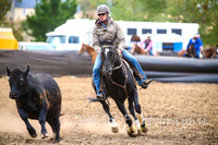 NimmitabelCampdraft2017_3419