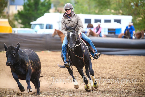 NimmitabelCampdraft2017_3419