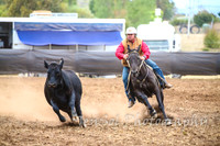 NimmitabelCampdraft2017_3469