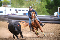 NimmitabelCampdraft2017_3409