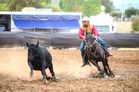 NimmitabelCampdraft2017_3468
