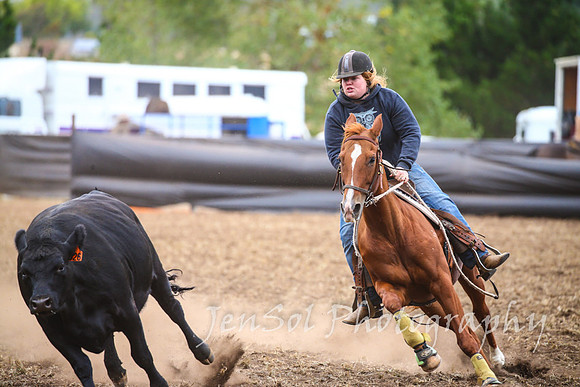 NimmitabelCampdraft2017_3402