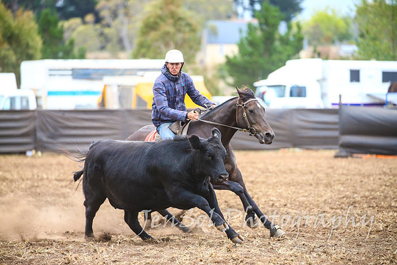 NimmitabelCampdraft2017_3549