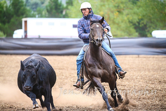 NimmitabelCampdraft2017_3553