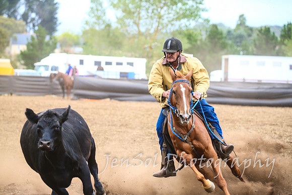 NimmitabelCampdraft2017_3520