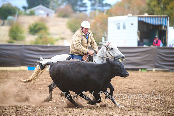 NimmitabelCampdraft2017_3485