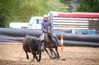 NimmitabelCampdraft2017_3385