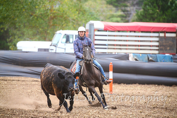NimmitabelCampdraft2017_3385