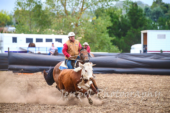 NimmitabelCampdraft2017_3610