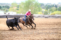 NimmitabelCampdraft2017_3393