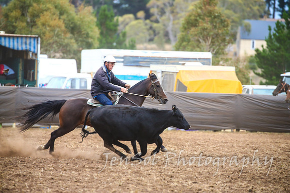 NimmitabelCampdraft2017_3498