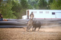 NimmitabelCampdraft2017_3441