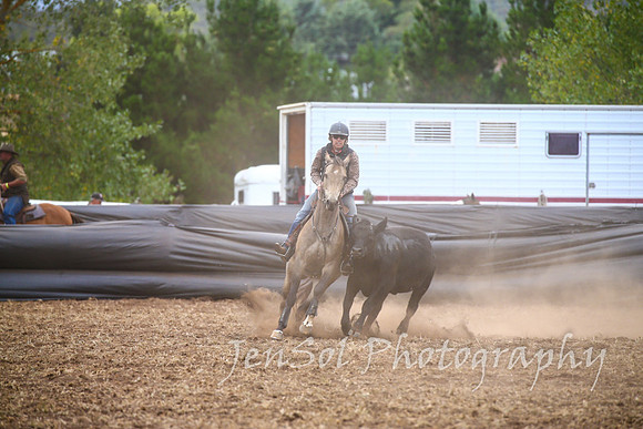 NimmitabelCampdraft2017_3441