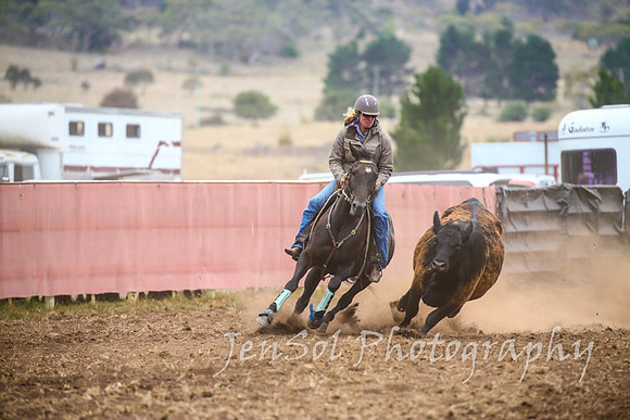 NimmitabelCampdraft2017_3527