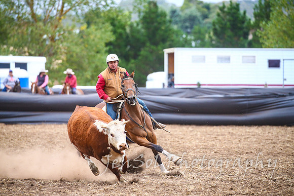 NimmitabelCampdraft2017_3620