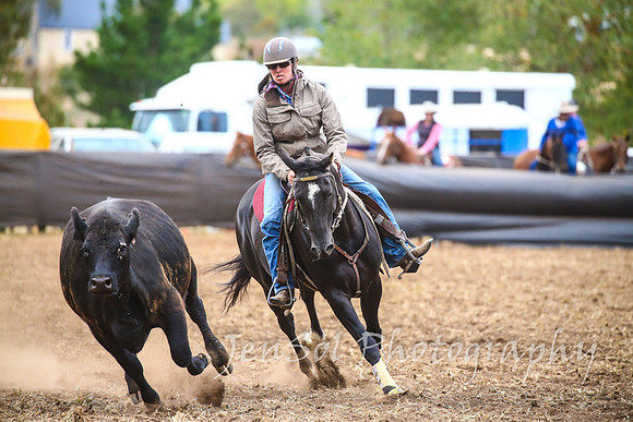 NimmitabelCampdraft2017_3421