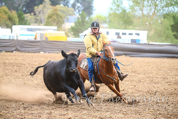 NimmitabelCampdraft2017_3515