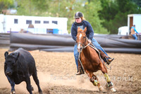 NimmitabelCampdraft2017_3405