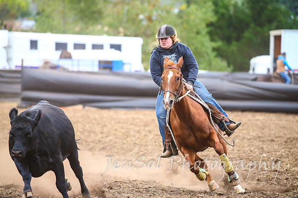 NimmitabelCampdraft2017_3405