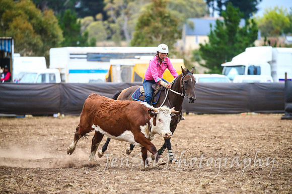 NimmitabelCampdraft2017_3637