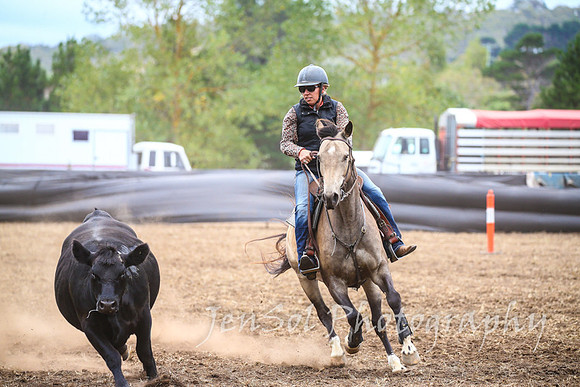 NimmitabelCampdraft2017_3430