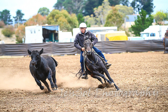 NimmitabelCampdraft2017_3568
