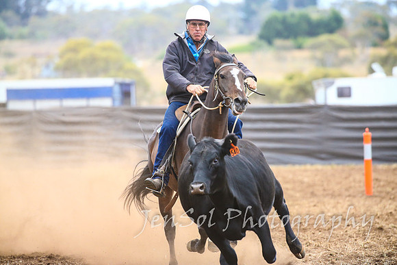 NimmitabelCampdraft2017_3492
