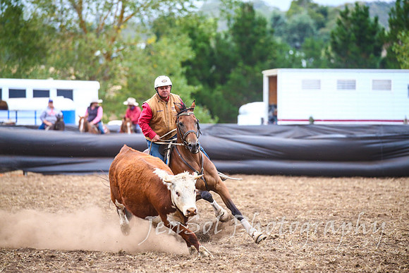 NimmitabelCampdraft2017_3619