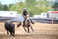 NimmitabelCampdraft2017_3428
