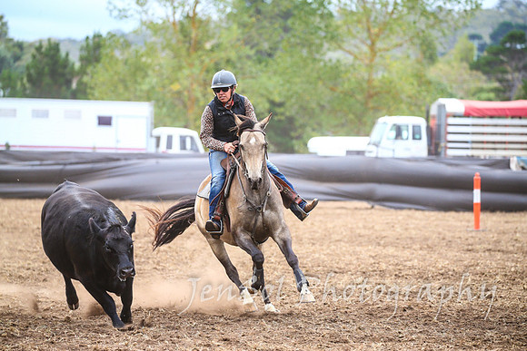 NimmitabelCampdraft2017_3428