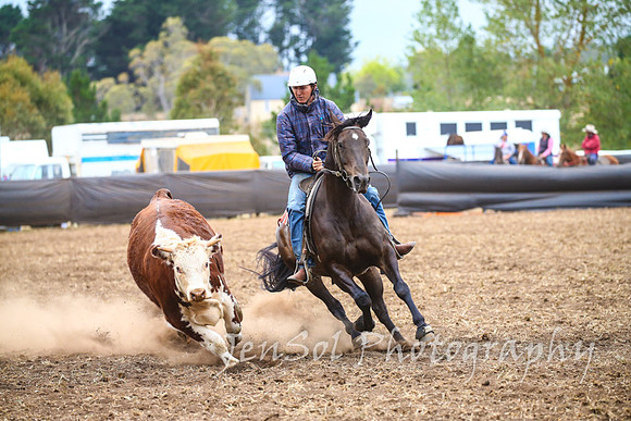NimmitabelCampdraft2017_3596