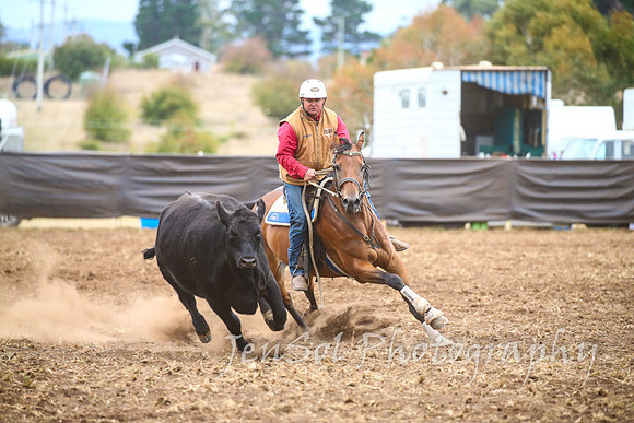 NimmitabelCampdraft2017_3579